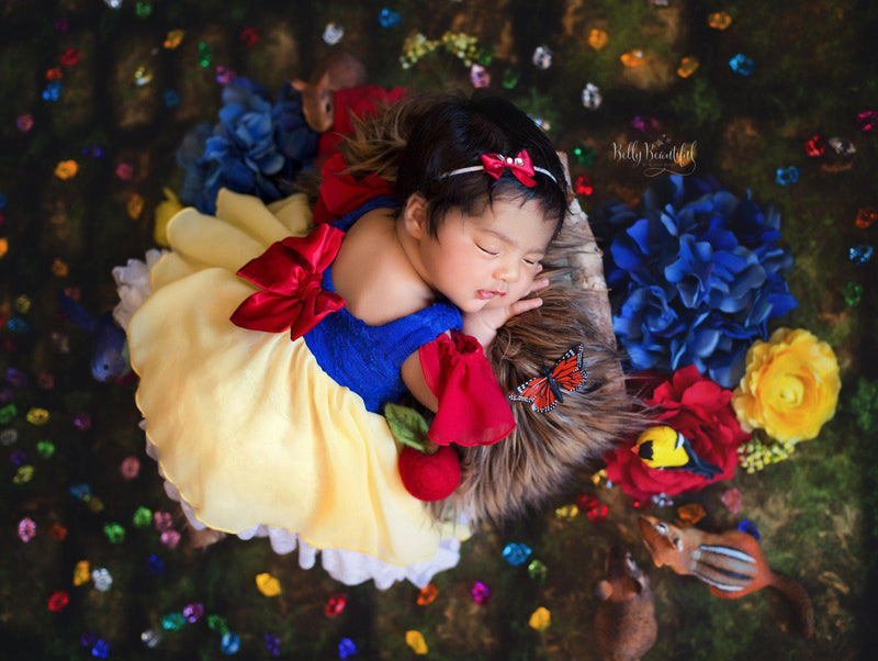 Snow Princess Dress • Snow White Inspired – Sew Trendy Accessories