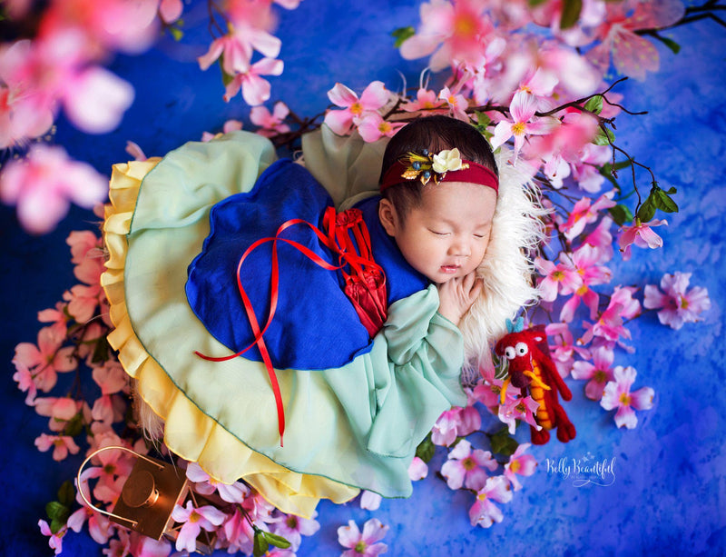 Lien Princess Dress • Mulan Inspired-newborn dress-Sew Trendy Accessories